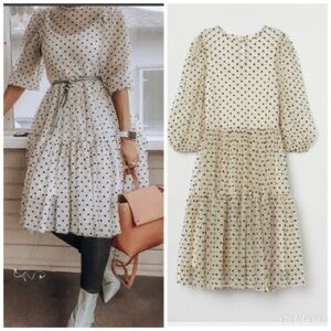 Polka dots sheer midi dress